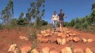 Mission Madagascar avec la Délégation Catholique pour la Coopération