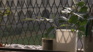 Au-delà des murs - Une présence spirituelle en prison