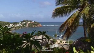 Un autre visage de la Martinique
