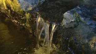 L'eau de Lourdes, un rituel aux liens fraternels