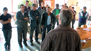 Le Chênelet : La force de la nature