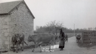 Une vie monastique écologique à l'abbaye de la Pierre-qui-Vire