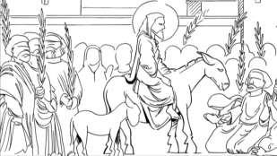 Dimanche des Rameaux : Emotions au coeur de la foi