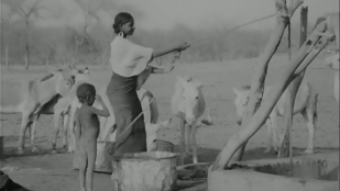 Niger. Les hommes sans eau - 2/2 Puits