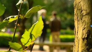 Parler à tout homme, un christianisme ambitieux ?