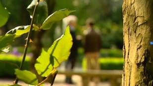 Parler à tout homme, un christianisme ambitieux ?