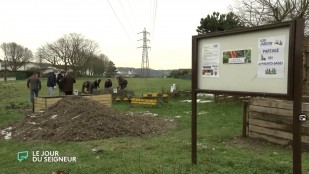 Saint-Etienne-du-Rouvray cultive le vivre-ensemble