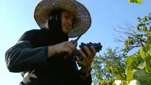 D'authentiques soeurs "écolo" au couvent "bio"