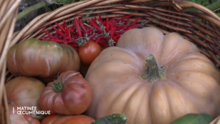 Au pied de la Chartreuse, se laisser inspirer