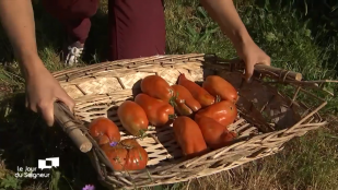 Campus de la Transition