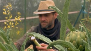 Chrétiens chlorophylles. Garder le jardin