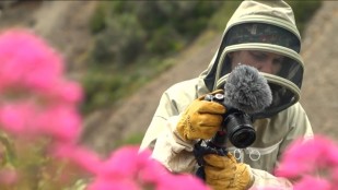 Caroline de "God Save the Green"