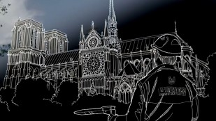 Les piliers de Notre-Dame (S01-E04) - Denis Harang, gestionnaire forestier