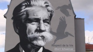 Albert Schweitzer (1875 - 1965)