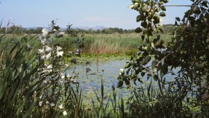 GÉNÉRATIONS LAUDATO SI' - Habitats naturels, trésors de notre maison commune
