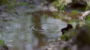 GÉNÉRATIONS LAUDATO SI' - Notre soeur eau