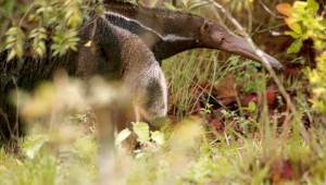 GÉNÉRATIONS LAUDATO SI' - « La clameur de la terre », émission spéciale