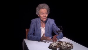 Isabelle Bochet - Saint Augustin