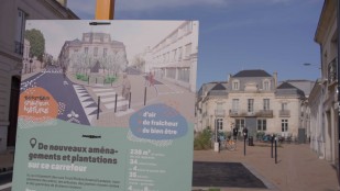 GÉNÉRATIONS LAUDATO SI' - Voter, militer, s’engager en politique, où sont les chrétiens ?