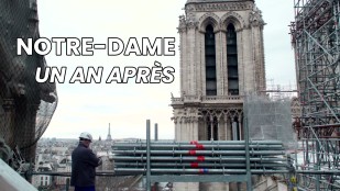 Notre-Dame. Un an après