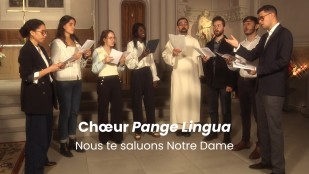 Hymne : Nous te saluons Notre-Dame (Traduction du "Salve Regina")